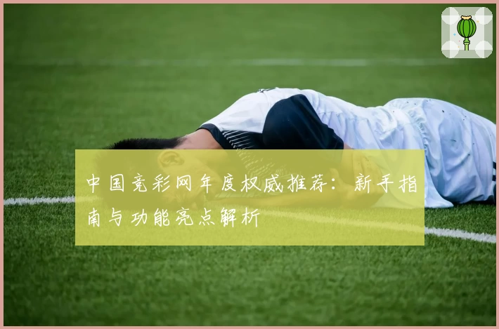 中国竞彩网年度权威推荐：新手指南与功能亮点解析
