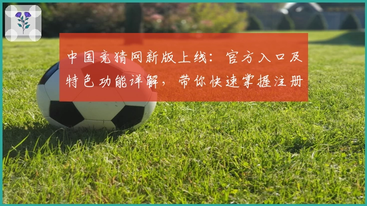 中国竞猜网新版上线：官方入口及特色功能详解，带你快速掌握注册流程与使用体验