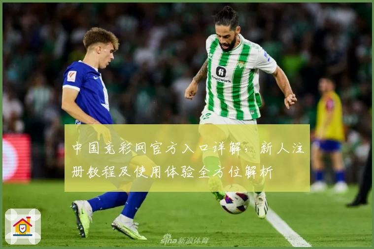 中国竞彩网官方入口详解，新人注册教程及使用体验全方位解析