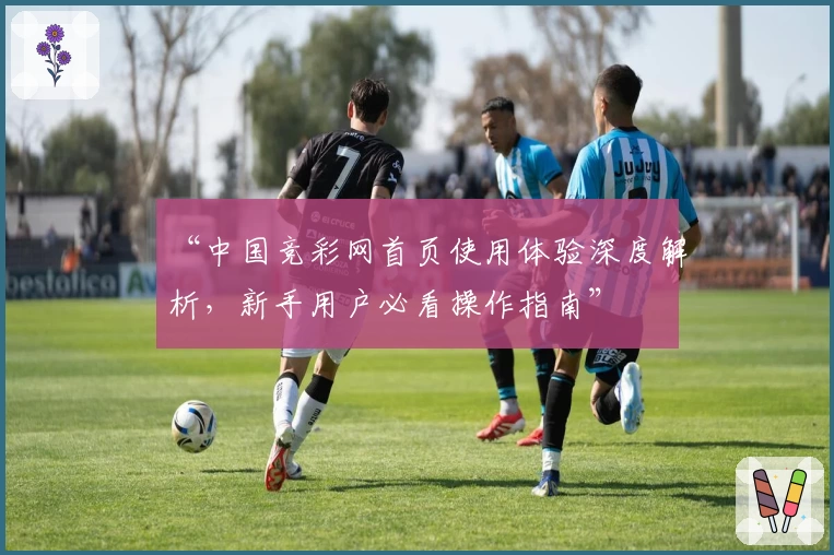 “中国竞彩网首页使用体验深度解析，新手用户必看操作指南”