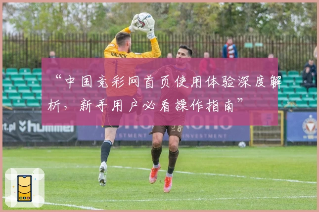 “中国竞彩网首页使用体验深度解析，新手用户必看操作指南”